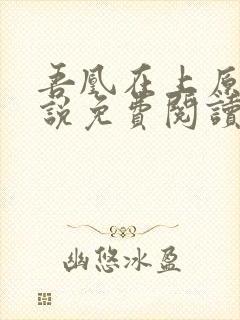 吾凰在上原著小说免费阅读