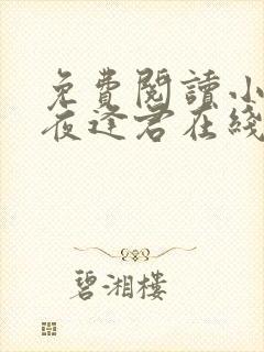 免费阅读小说此夜逢君在线阅读全文