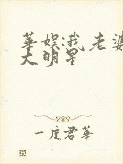 华娱:我老婆是大明星