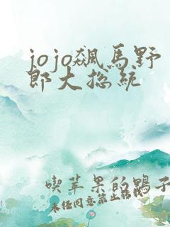 jojo飙马野郎大总统