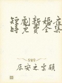 短剧新婚夜离婚时免费全集播放