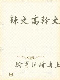 辣文高干文