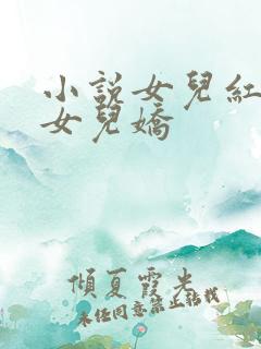 小说女儿红 续女儿娇