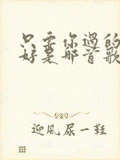 只要你过的比我好是哪首歌里的歌词