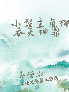 小说主角柳无邪 吞天神鼎