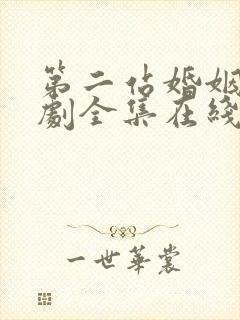 第二站婚姻电视剧全集在线观看