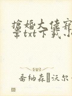 抢婚大佬宠妻日常txt下载小说