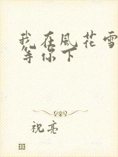 我在风花雪月里等你下