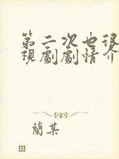 第二次也很美电视剧剧情介绍