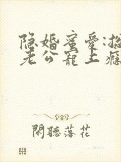 隐婚蜜爱:总裁老公宠上瘾 完本