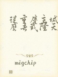 从重庆主城区怎么去武隆天生三桥