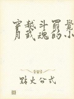 穿越斗罗觉醒日月武魂的小说