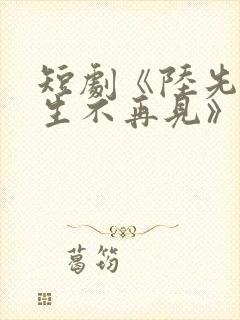 短剧《陆先生余生不再见》