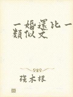 一婚还比一婚高类似文