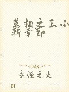 万相之王小说最新章节