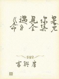 《遇见你是我宿命》全集免费观看