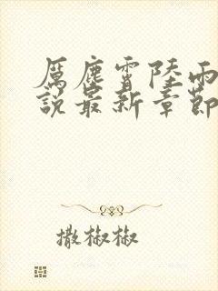 厉尘霄陆雨棠小说最新章节免费阅读全文