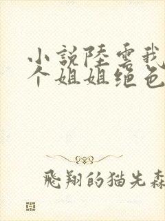 小说陆云我的七个姐姐绝色倾城