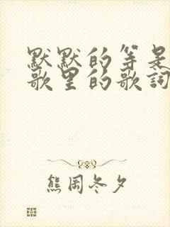 默默的等是哪首歌里的歌词