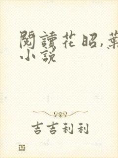 阅读花昭,叶深小说