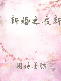 新婚之夜新娘被