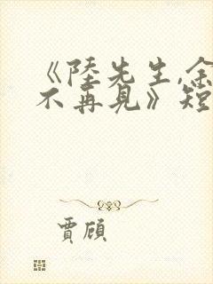 《陆先生,余生不再见》短剧