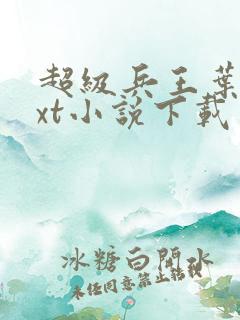 超级兵王叶谦txt小说下载