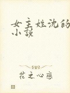 女主姓沈的穿越小说