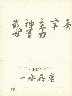 武神主宰秦尘前世实力