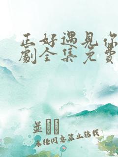 正好遇见你电视剧全集免费播放