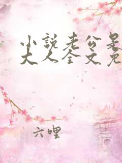 小说老公是腹黑大人全文免费阅读