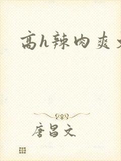 高h辣肉爽文