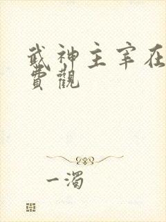 武神主宰在线免费观