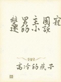 双男主团宠万人迷的小说