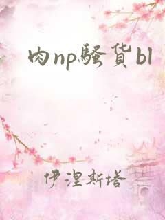 肉np骚货bl