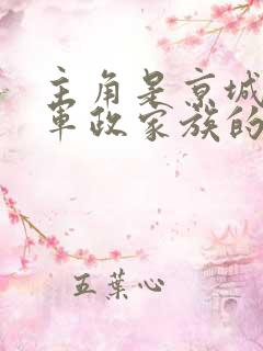 主角是京城顶级军政家族的都市小说