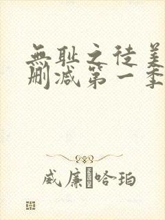 无耻之徒美版无删减第一季