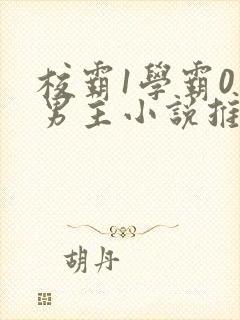 校霸1学霸0双男主小说推荐