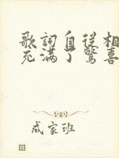 歌词自从相遇我充满了惊喜是什么歌