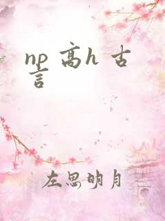np 高h 古言