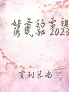 好看的电视剧推荐几部 2023年上映