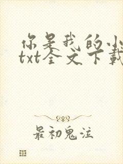 你是我的小确幸txt全文下载