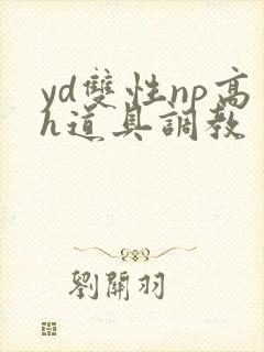 yd双性np高h道具调教