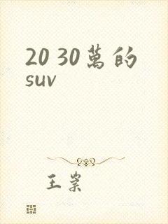20 30万的suv