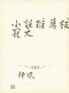 小说推荐校园甜宠文