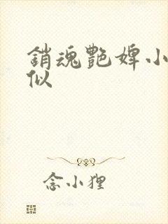 销魂艳婢小说类似