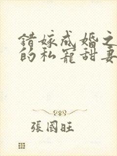 错嫁成婚之总裁的私宠甜妻完整版