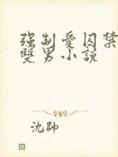 强制爱囚禁调教双男小说