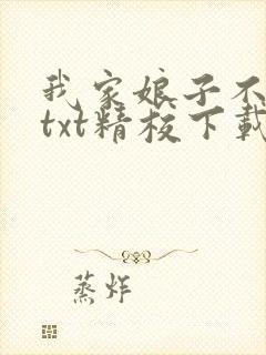 我家娘子不对劲txt精校下载