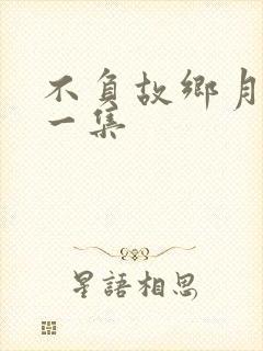 不负故乡月最后一集